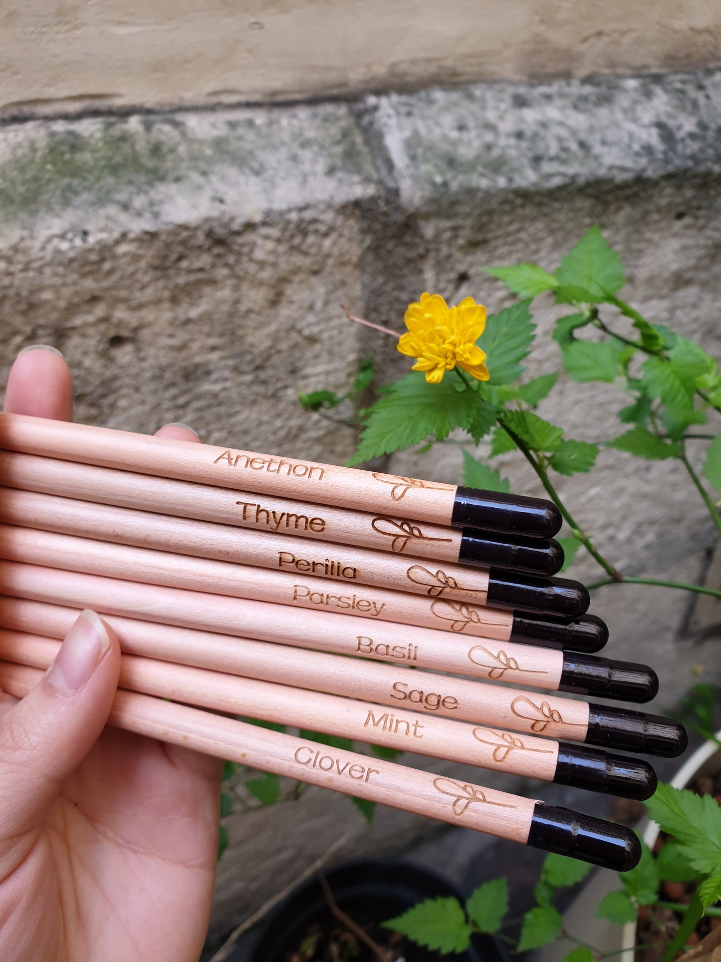 Lots de 8 crayons à planter Sprout en bois certifié gravés personnalisés avec texte pour mariage, baptême, naissance